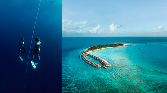 ���� ����� � ���� �������: ������ Sirru Fen Fushi ����������� ��������� ���� ������� ��������� � Freedive Maldives