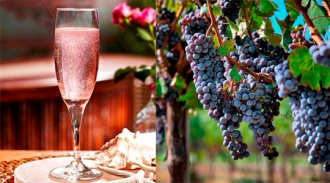      Prosecco