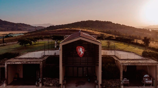 Dodici Wine: ���������� ��������� ���� ������ � �������� �������