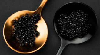   : justfood  -     