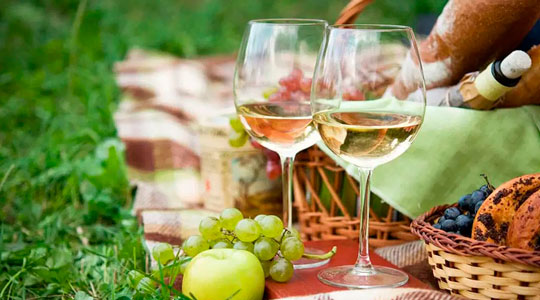 WINE PICNIC �� ���������� ���������� �������