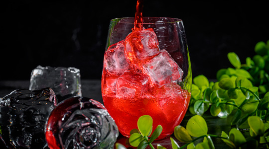 ���� ������: �������� � Bluefin