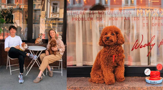 Dog Donuts  Caffé Mandys