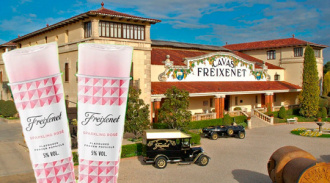Мороженое из игристого вина от компании Freixenet