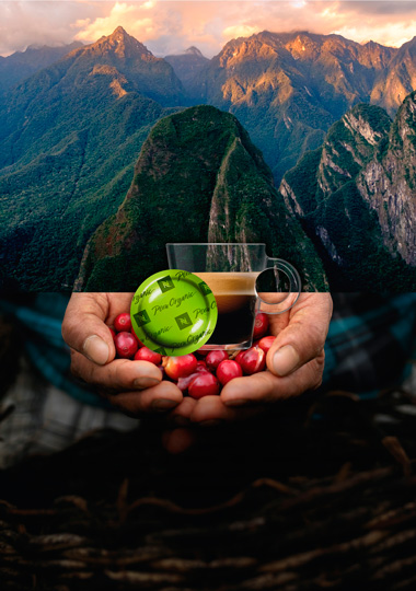 Nespresso-Peru-Organic.jpg