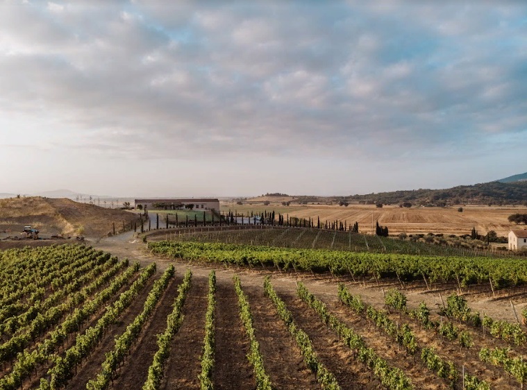 Dodici Wine-05.jpg
