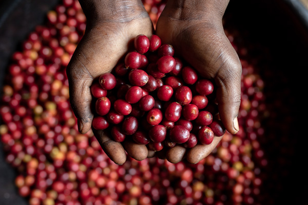Nespresso_Uganda_RestoranNews.jpg